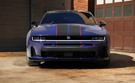 Direct Connection Charger Image