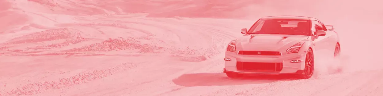 Nismo Sale Banner