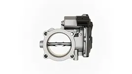 Throttle Bodies