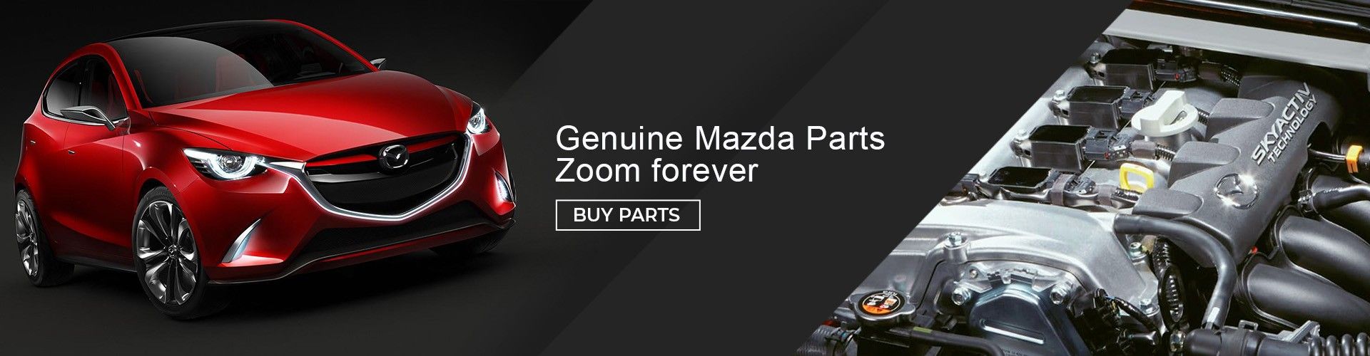 Palladino Mazda Banner 2