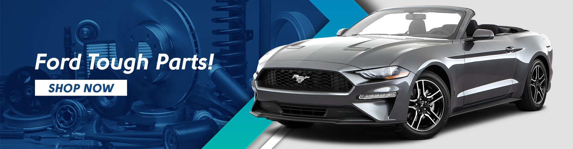 South Bay Ford Banner 3