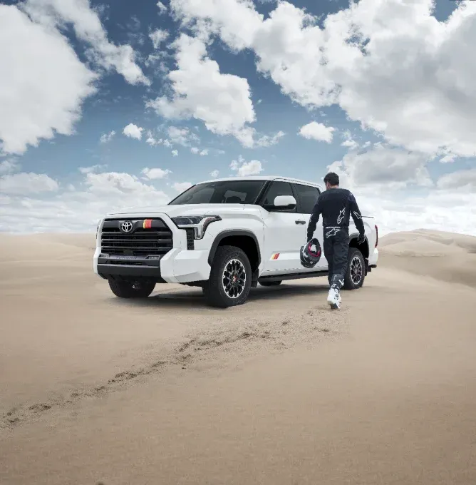 Tundra Dunes Tundra Dunes