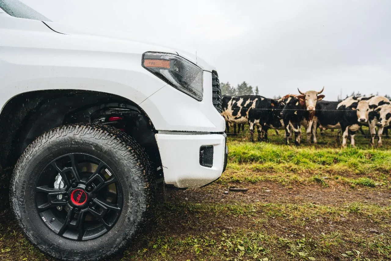 Tundra wheel farm Tundra wheel farm