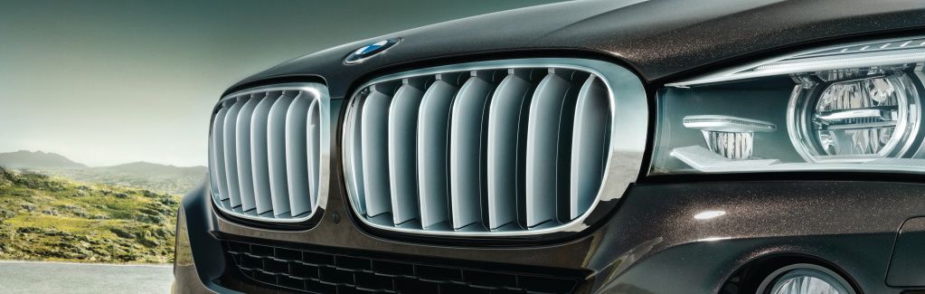 Genuine BMW Grilles