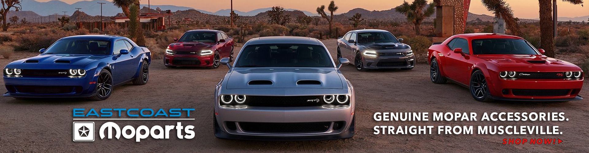 Dodge accessories 