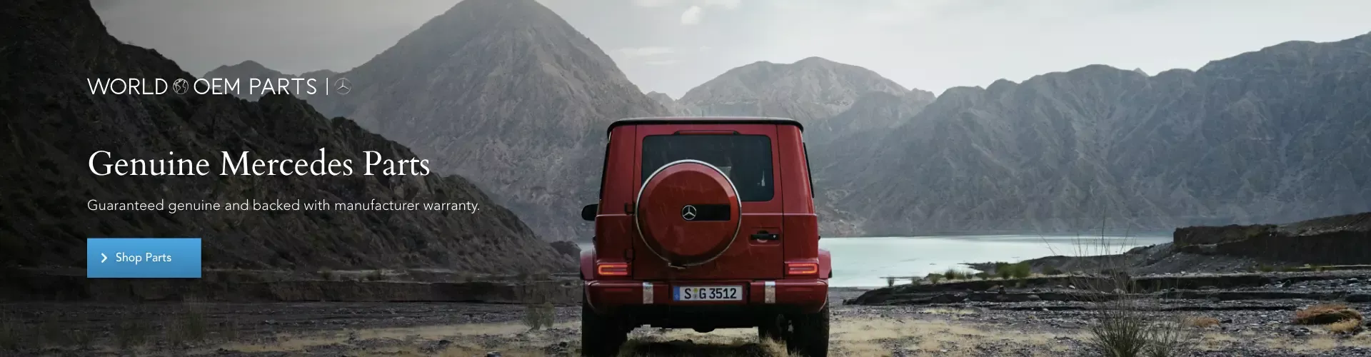 World Mercedes-Benz Banner 4