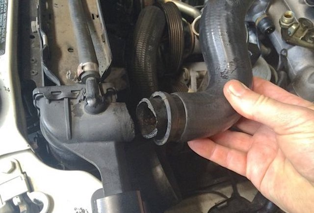 OEM toyota radiator hose