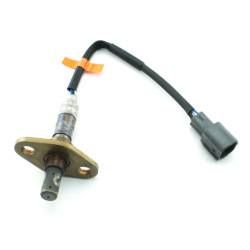 Oxygen Sensors