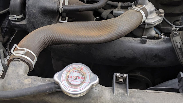 replace radiator hose