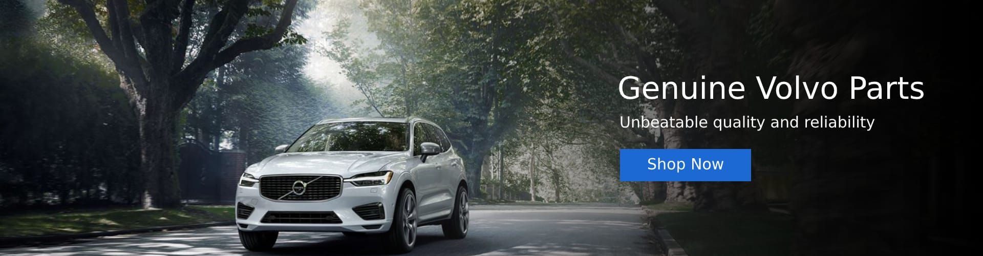 Luxury Roanoke Parts Banner 2