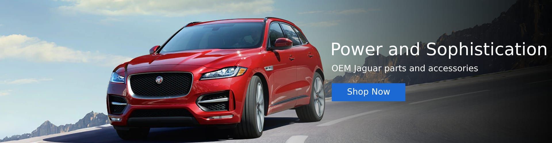 Luxury Roanoke Parts Banner 4