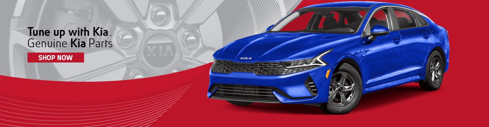 OEM Kia