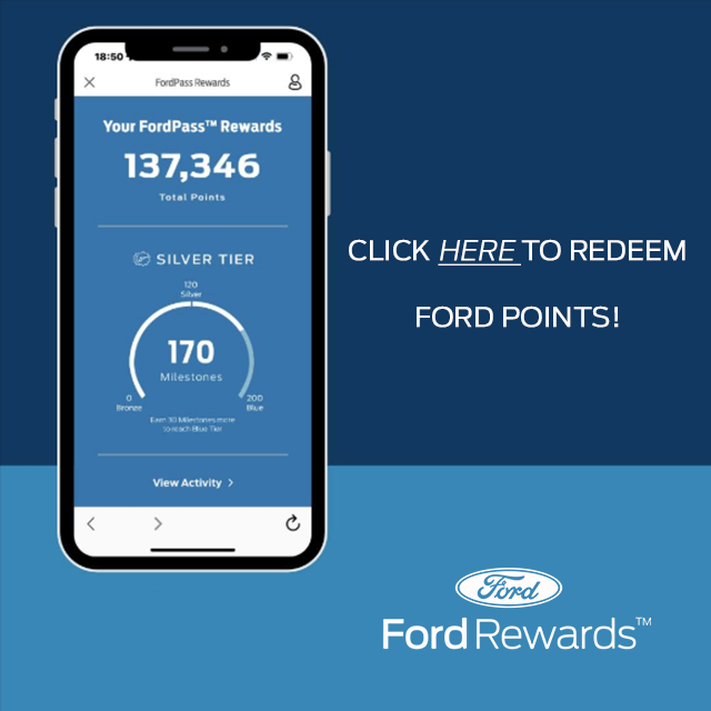 The Truck Lot - Ford Parts Banner 6