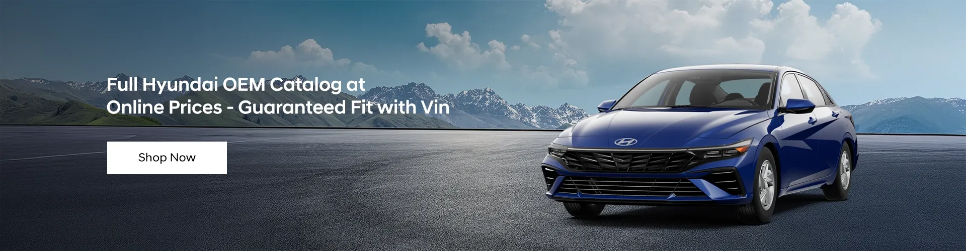 OEM Hyundai Parts