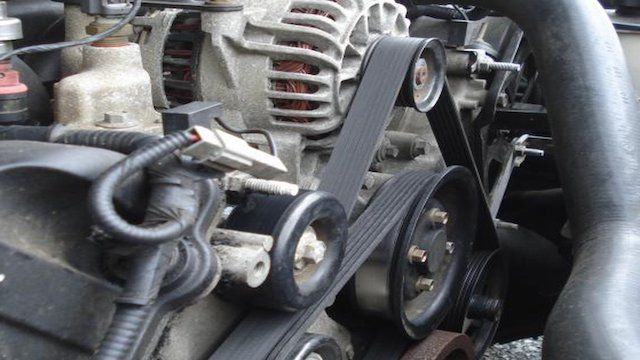 Ford timing belt