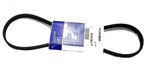 19208727 - Cooling System: AC Belt for Chevrolet: Camaro Image
