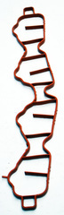 Intake Manifold End Seal - GM (55564974)