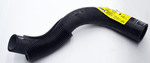 10229480 - : Lower Hose for GM Image