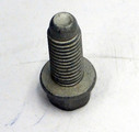 12561465 - : Transmission Clutch Pressure Plate Bolt for Cadillac: ATS, CT4, CT5, CTS | Chevrolet: Camaro, Corvette, SS Image