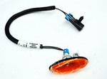 15793901 - Electrical: Side Marker Light for Chevrolet: Silverado 1500, Silverado 2500 HD, Silverado 3500 HD | GMC: Sierra 1500, Sierra 2500 HD, Sierra 3500 HD Image