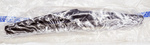 13464219 - : Rear Window Wiper Blade, 10.2 in for Buick: Regal TourX | Chevrolet: Cruze Image