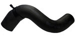 95950470 - Cooling System: Lower Hose for Chevrolet: Aveo, Aveo5 | Pontiac: G3 Image