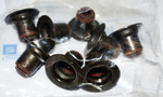 12482062 - Engine: Valve Seals for Buick: LaCrosse, Lucerne, Rainier, Terraza | Cadillac: CTS, Escalade, Escalade ESV, Escalade EXT | Chevrolet: Avalanche, Avalanche 1500, Camaro, Caprice, Colorado, Corvette, Express 1500, Express 2500, Express 3500, Express 4500, Impala, LCF 3500, Malibu, Monte Carlo, Silverado 1500, Silverado 1500 Classic, Silverado 1500 HD, Silverado 1500 HD Classic, Silverado 2500, Silverado 2500 HD, Silverado 2500 HD Classic, Silverado 3500, Silverado 3500 Classic, Silverado 3500 HD, SS, SSR, Suburban 1500, Suburban 2500, Suburban 3500 HD, Tahoe, Trailblazer, Trailblazer EXT, Uplander | GMC: Canyon, Envoy, Envoy XL, Envoy XUV, Savana 1500, Savana 2500, Savana 3500, Savana 4500, Sierra 1500, Sierra 1500 Classic, Sierra 1500 HD, Sierra 1500 HD Classic, Sierra 2500, Sierra 2500 HD, Sierra 2500 HD Classic, Sierra 3500, Sierra 3500 Classic, Sierra 3500 HD, Yukon, Yukon XL 1500, Yukon XL 2500 | Hummer: H2, H3, H3T | Pontiac: Firebird, G6, G8, Grand Prix, GTO, Montana | Saturn: Aura, Relay, Vue Image
