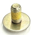 89018401 - : Radiator Bolt for GM Image