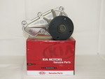 251002E020 - : Water Pump for Kia: Forte, Forte Koup, Forte5, Seltos, Soul Image