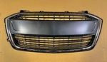 42496925 - Body: Lower Grille for GM Image