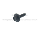 W701107S424 - Body: Side Retainer Screw for FORD Image