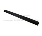 6L5Z1021453AA - Body: Door Window Belt Weatherstrip for Ford Image