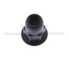 W715851S450B - Body: Striker Nut for FORD Image