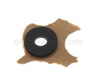 11547298 - : Rubber Washer for GM Image