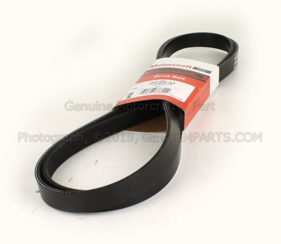 1F1Z8620AD - Cooling System: Serpentine Belt for Ford Image