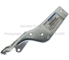 AE9Z16797A - : Hinge - Driver's Side (LH) for Ford Image