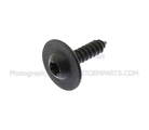 W718821S450B - Body: Applique Bolt for FORD Image