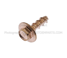W707607S403 - : Support Screw for FORD Image