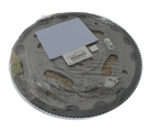 68544198AA - : Torque Converter Drive Plate for Chrysler: 200, Town &amp; Country | Dodge: Avenger, Grand Caravan, Journey | Ram: C/V, ProMaster 1500, ProMaster 2500, ProMaster 3500 Image