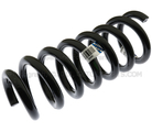 AA8Z5560E - : Coil Spring for Ford Image