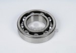 21003317 - Transmission: Automatic Transmission Differential Bearing for Saturn: SC1, SC2, SL, SL1, SL2, SW1, SW2 Image