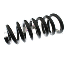 DG1Z5560H - Suspension: Coil Spring for Ford Image
