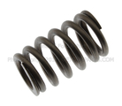 F6LZ6513AB - Engine: Valve Springs for Ford Image