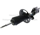 AST12275 - Suspension: Motorcraftâ„¢ Strut for Ford Image