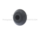 W718095S300 - Body: Hood Plug for FORD Image