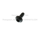 W506942S424 - Body: Fender Ledge Cover Screw for Ford Image