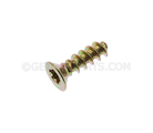 16606574 - Body: Lock Assembly Screw for Buick: Rendezvous, Skylark | Pontiac: Aztek, Grand Am Image