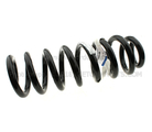 8L3Z5310V - Suspension: Coil Spring for Ford Image