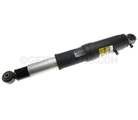 19368462 - Suspension: Shock Absorber for GM Image
