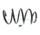 CV6Z5310Q - Suspension: Coil Spring for Ford Image